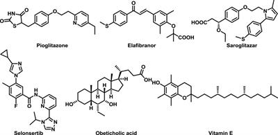 Design and synthesis of ERα agonists: Effectively reduce lipid accumulation